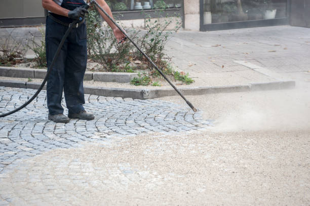 Best Pre-Holiday Cleaning  in Newport Beach, CA